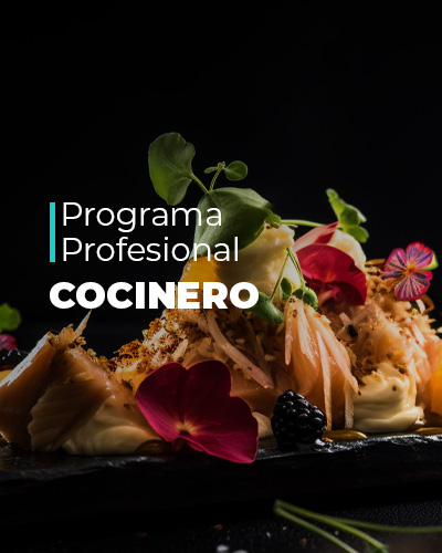 Cocinero Profesional